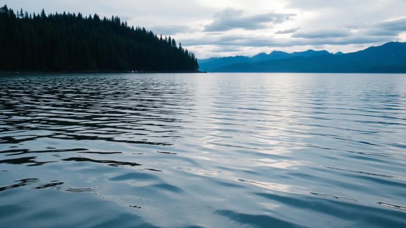 what does afk mean